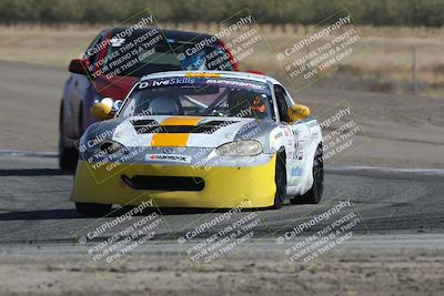media/Oct-21-2023-Speed Ventures (Sat) [[ddf75163c5]]/Green/Grapvine/